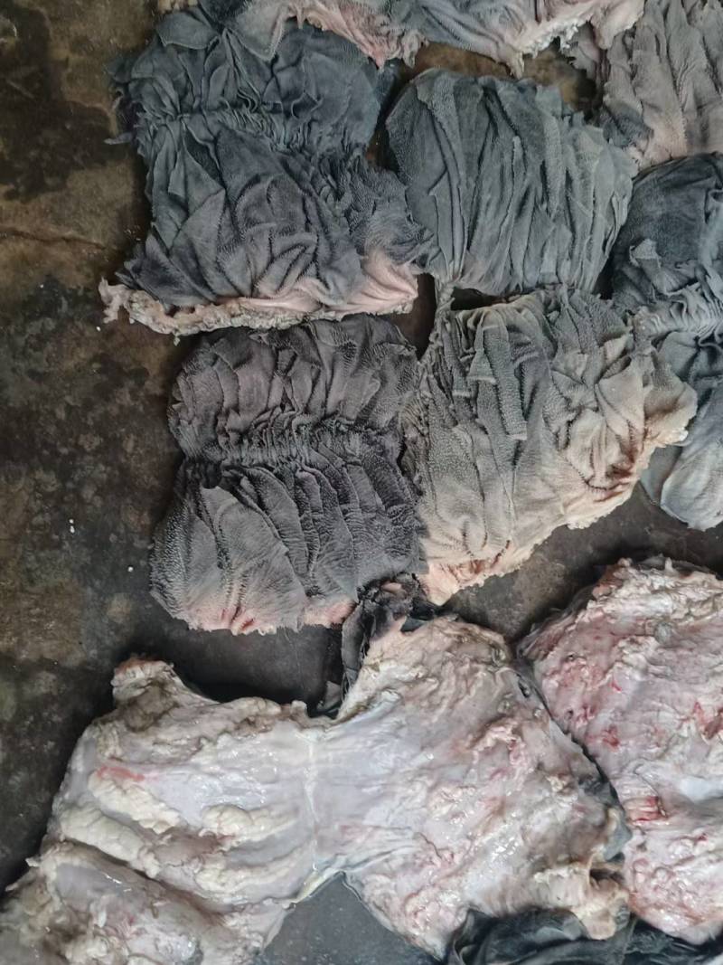 新鲜牛百叶，新鲜牛毛肚，长期供应，欢迎合作