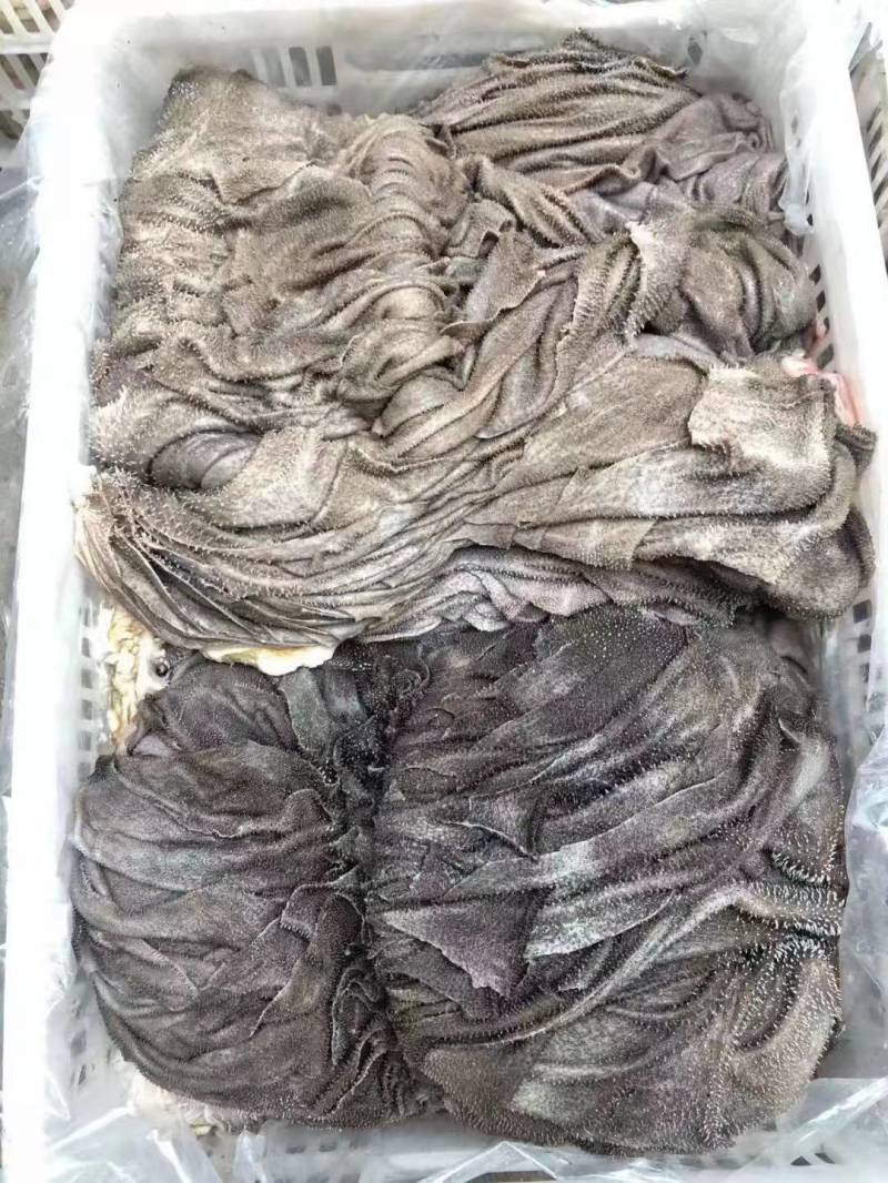 新鲜牛百叶，新鲜牛毛肚，长期供应，欢迎合作