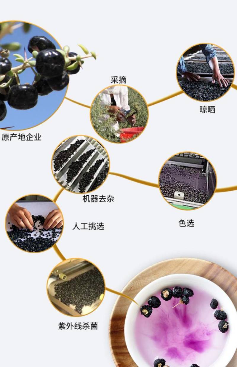 黑狗杞青岛柴达木黑枸杞野生黑枸杞干净无污染富含花青素