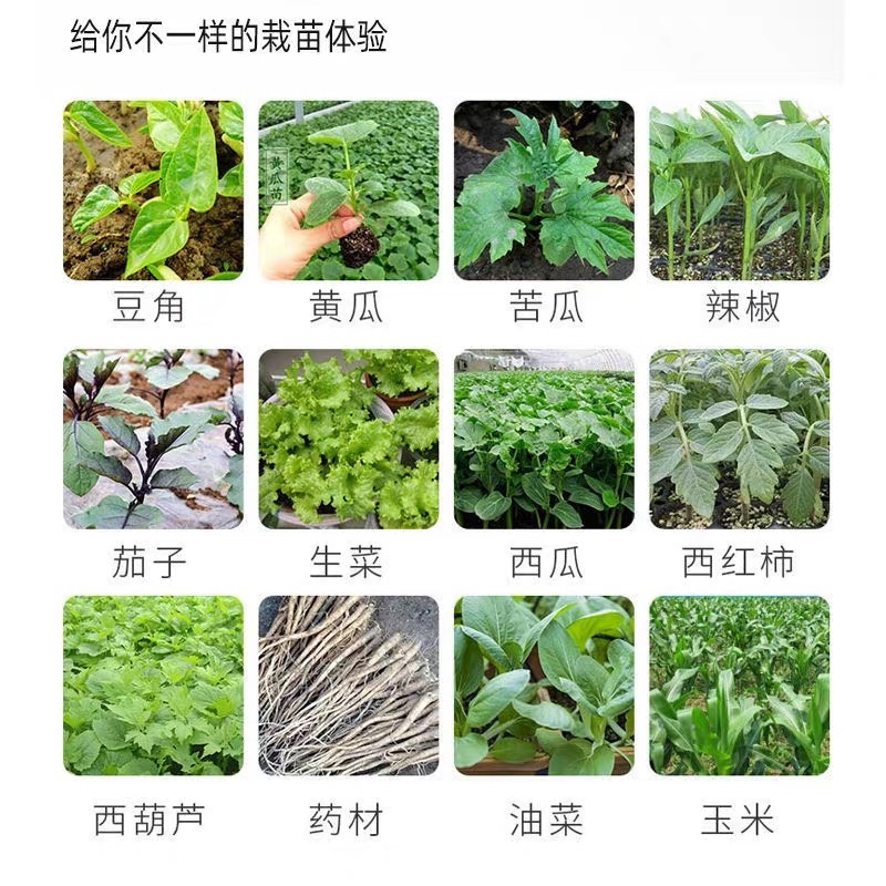 栽苗神器栽苗器西瓜栽苗器辣椒栽苗器蔬菜栽苗神器栽苗辣椒