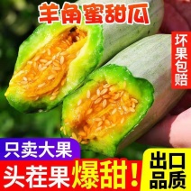 羊角蜜甜瓜莘县博洋产区市场代收货源足上货快