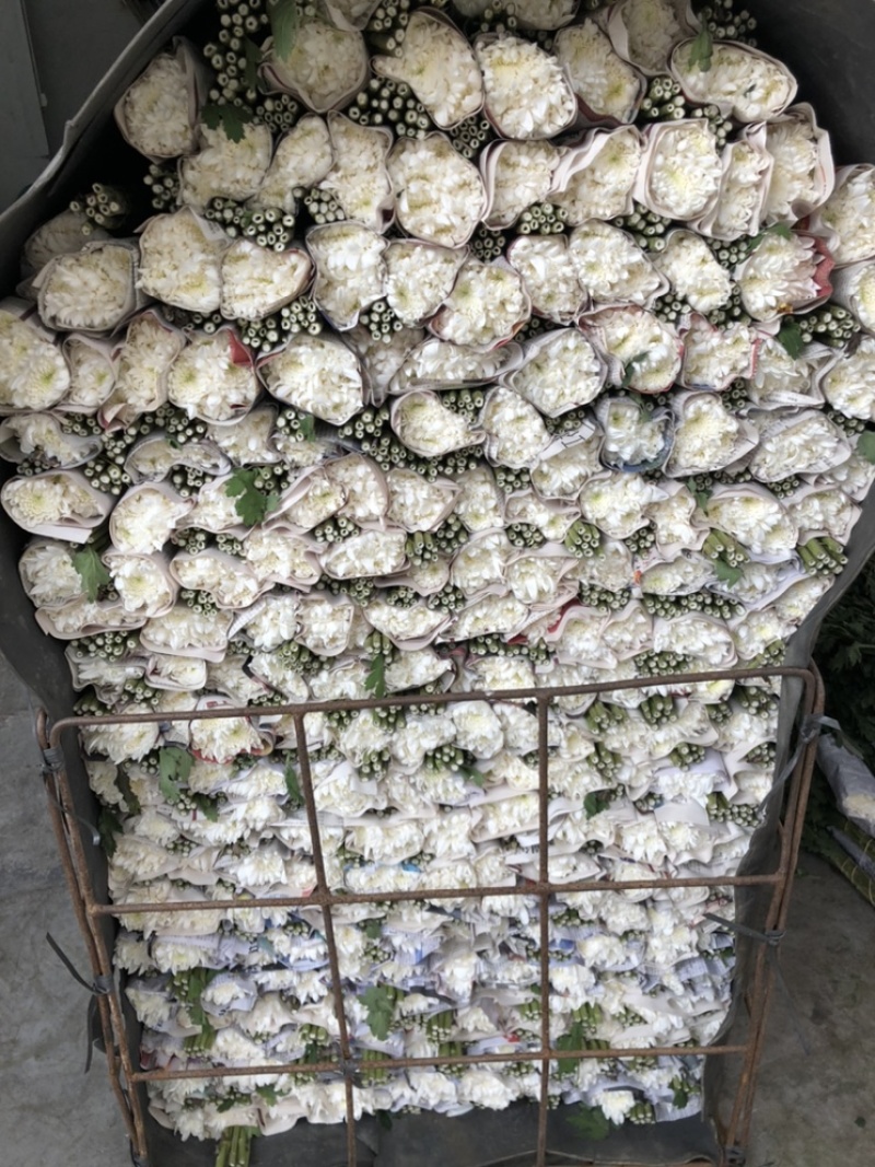 广州明记花行销售有限公司