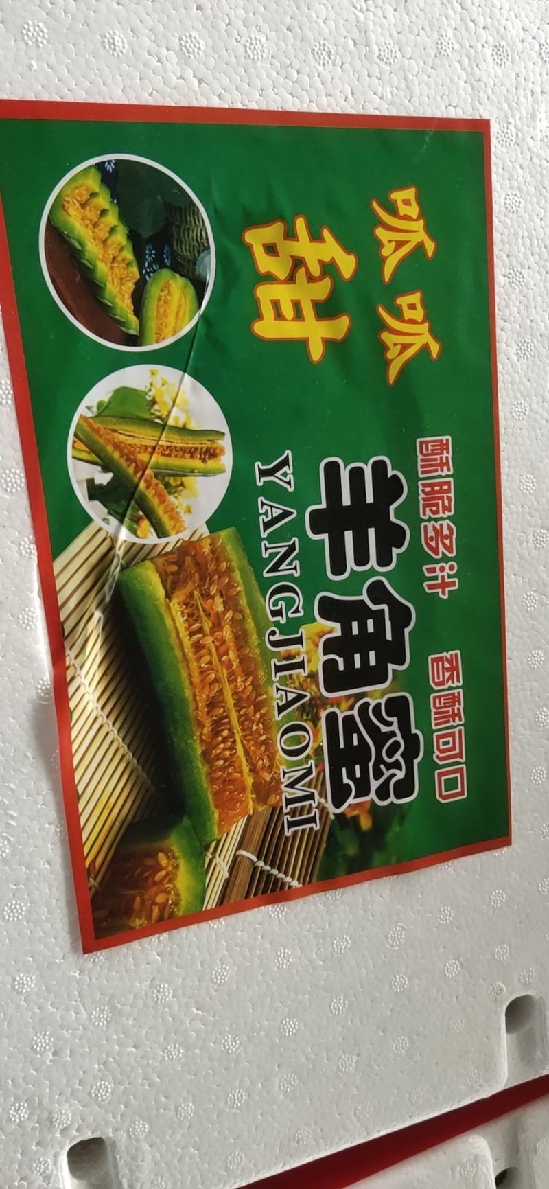 山东莘县博洋甜瓜大量上市，专业对接商超、电商，市场批发