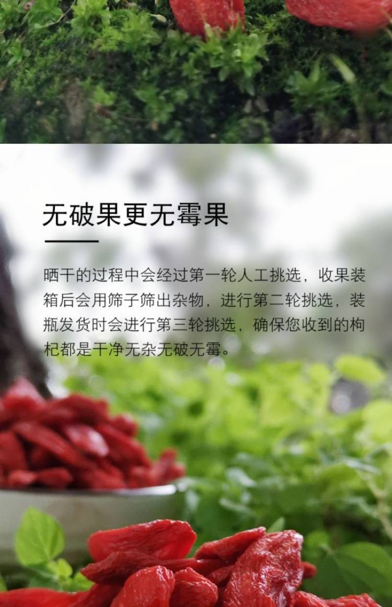 枸杞颗粒饱满干度够天然绝无熏染放心安全