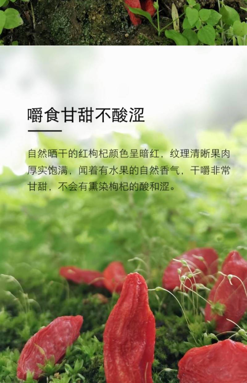 枸杞颗粒饱满干度够天然绝无熏染放心安全