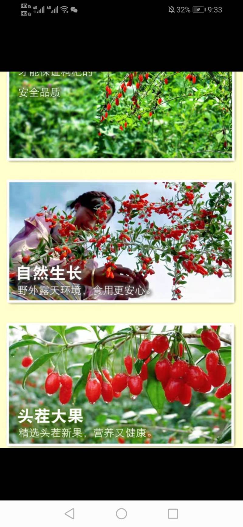 枸杞颗粒饱满干度够天然绝无熏染放心安全