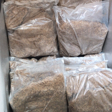五谷虫蝇蛆，冷冻处理包装，螃蟹适口饵料，高蛋白！营养高。