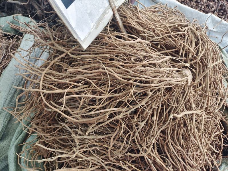 中药材土牛膝～质量保证～量大从优～货源充足