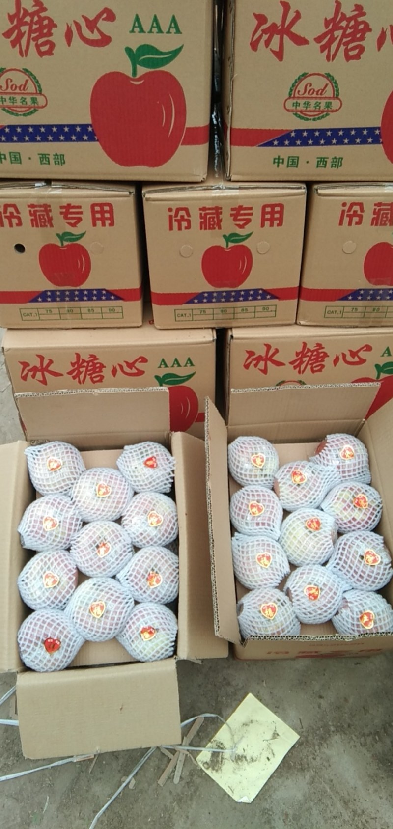 烟富3，烟富6，短枝，长富苹果，袋装，筐装，大铁筐正在热