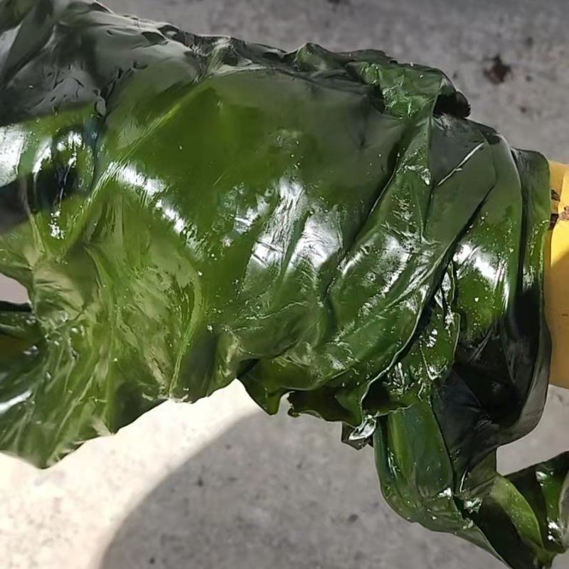 腌渍小海带