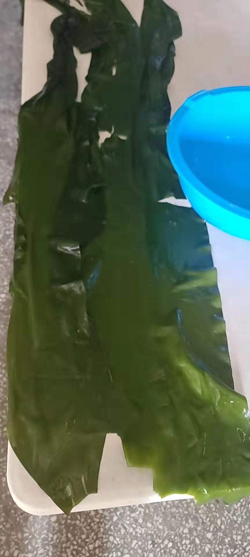 腌渍小海带