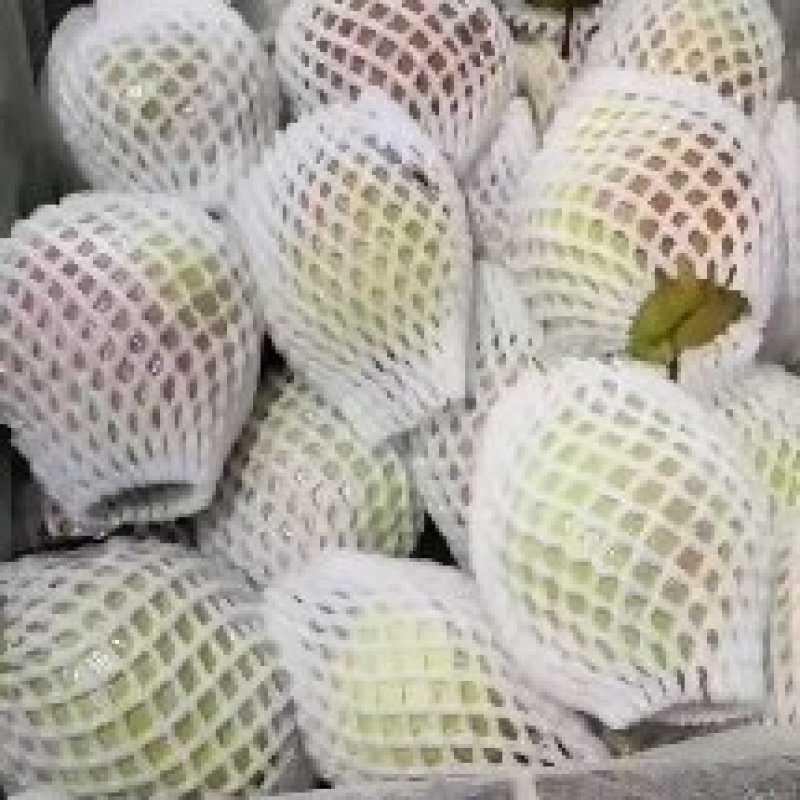 新梨七号香梨