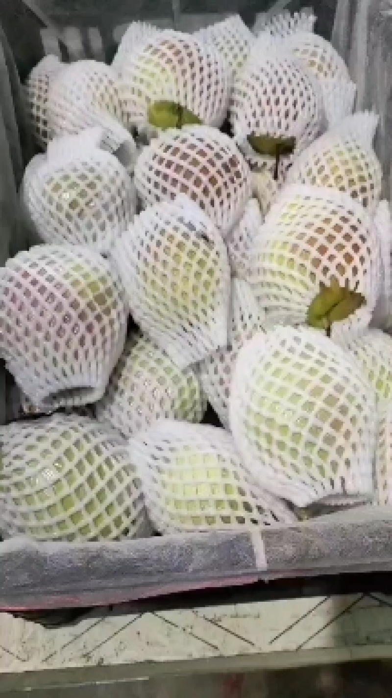 新梨七号香梨