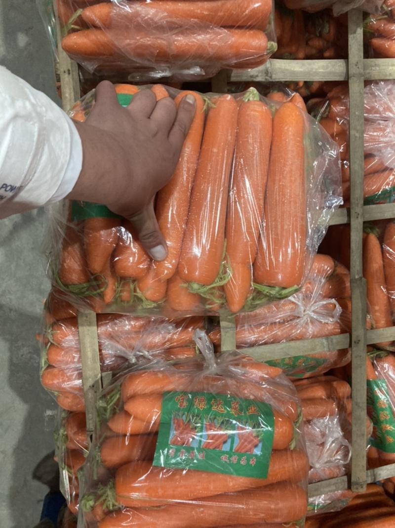 《水洗胡萝卜》大量供应产地批发货源充足代发全国