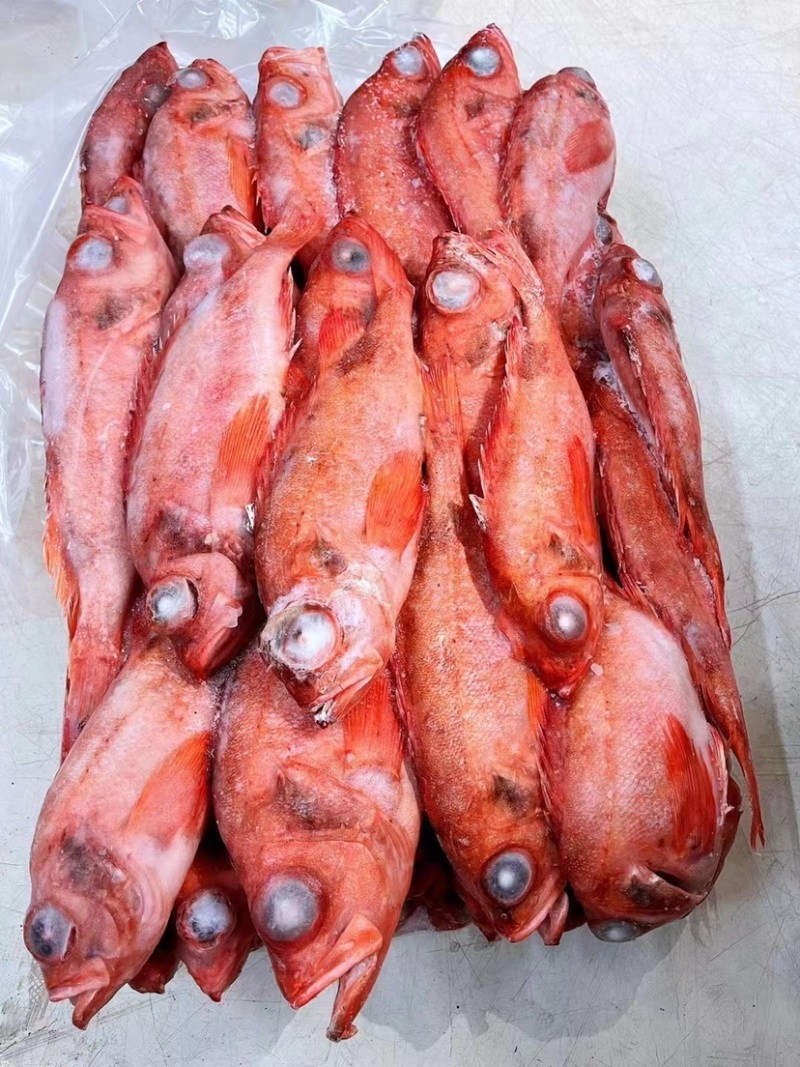 红石斑鱼冷冻整条红鱼大眼鱼富贵鱼海鲜水产