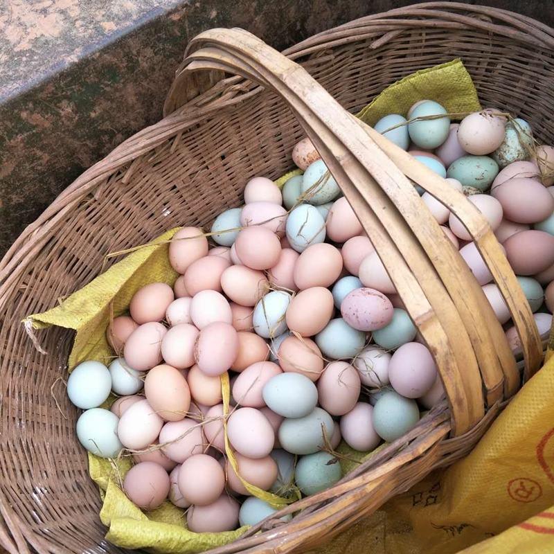 农家黑凤白凤粉八粉六土鸡蛋散养粉壳蛋壳厚蛋香蛋优价美