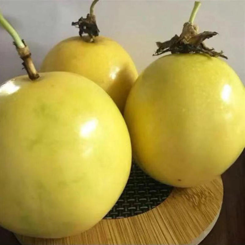 新品巴西金霸黄金百香果苗巨无霸大果一斤一个种植当年结果