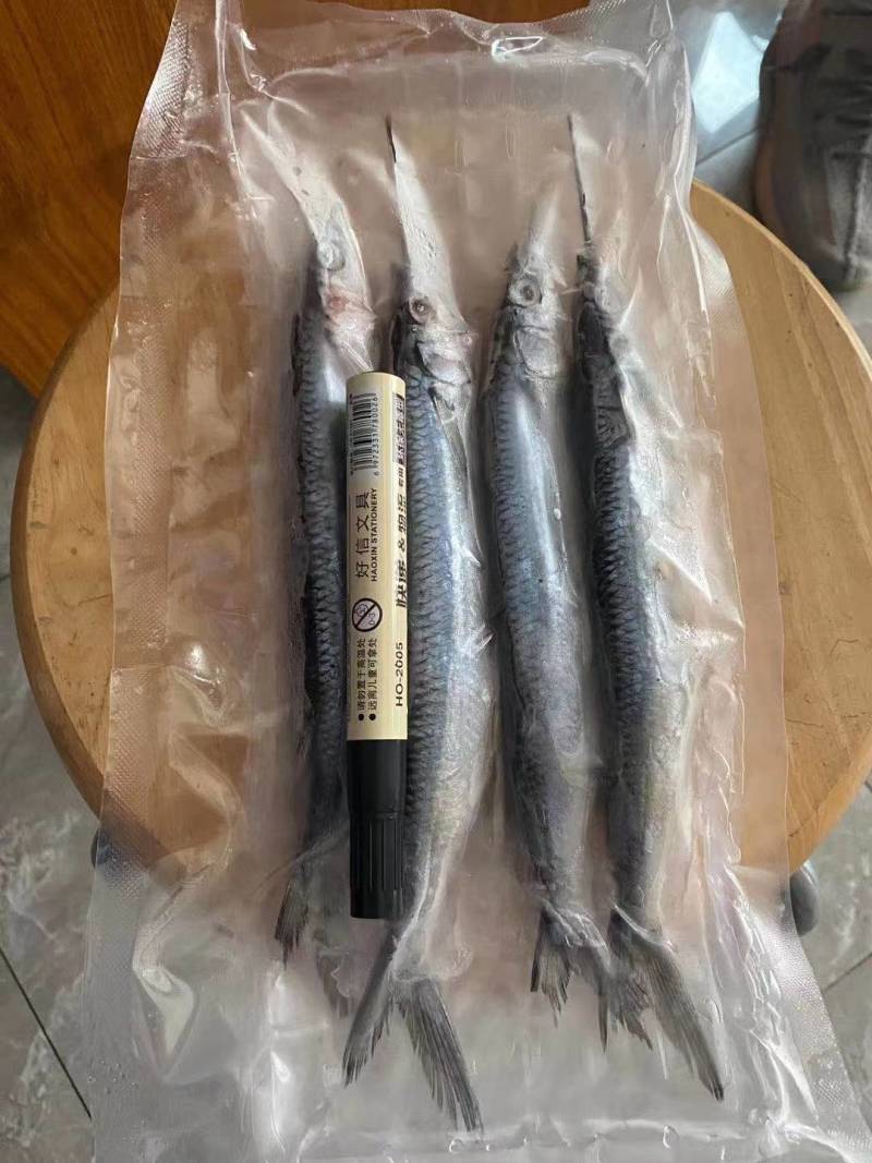 青针鱼价格便宜口感好内脏已去除干净