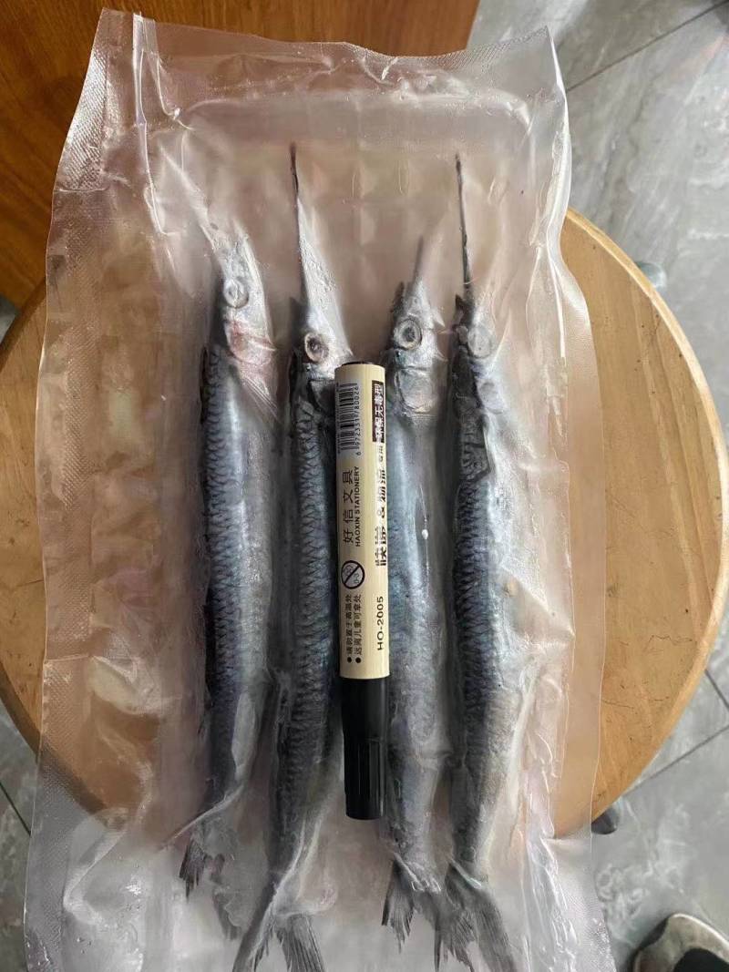 青针鱼价格便宜口感好内脏已去除干净