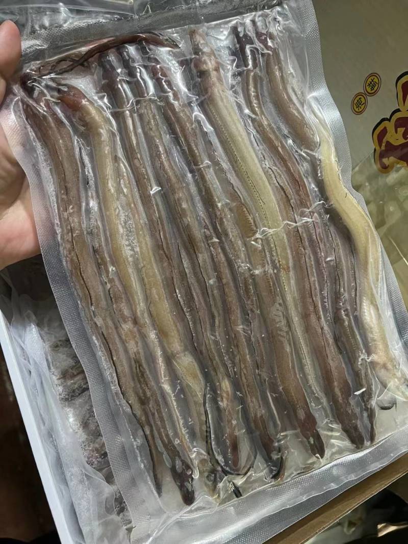 海鳝鱼价格便宜口感好内脏已去干净