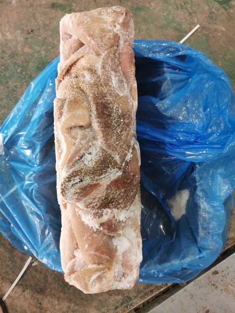 牛金肚，到货价格便宜……