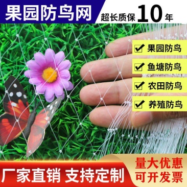包邮防鸟网天网果树果园用的网樱桃稻谷葡萄蓝莓鱼塘养殖