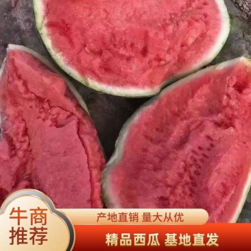 【优】夏邑大棚头茬8424西瓜有籽无籽熟度好