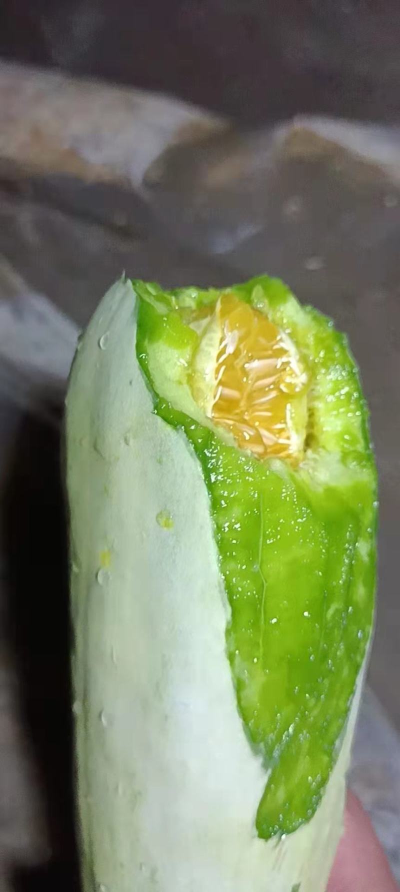 精品博洋甜瓜，羊角蜜甜瓜，产地直发，量大从优，欢迎联系