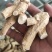 西洋参加拿大进口西洋参软质肉靓，量大价优产地直销