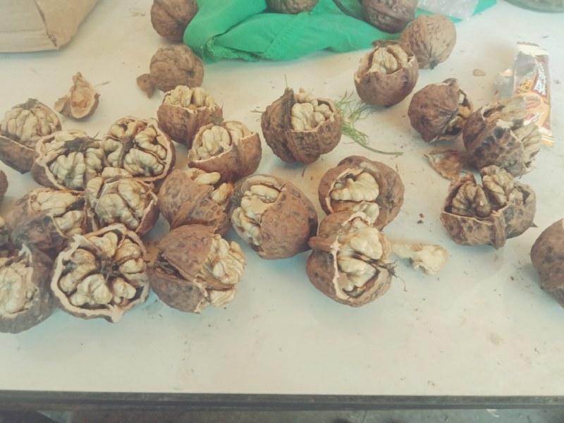 薄皮核桃云南大理漾濞老品种红桐子大果，中果
