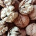 纸皮核桃，楚雄大姚103精品纸皮核桃，口感好