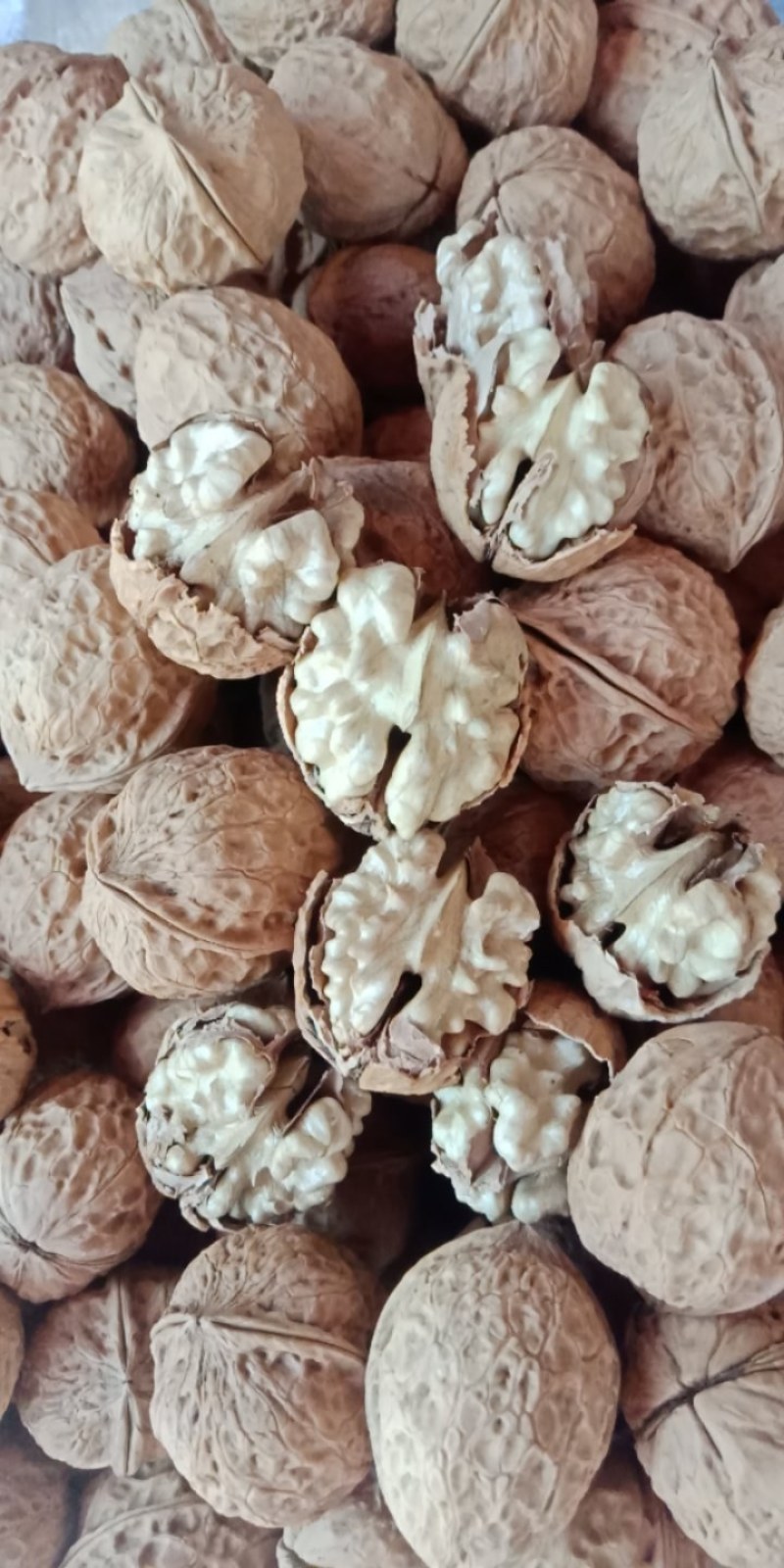 纸皮核桃，楚雄大姚103精品纸皮核桃，口感好