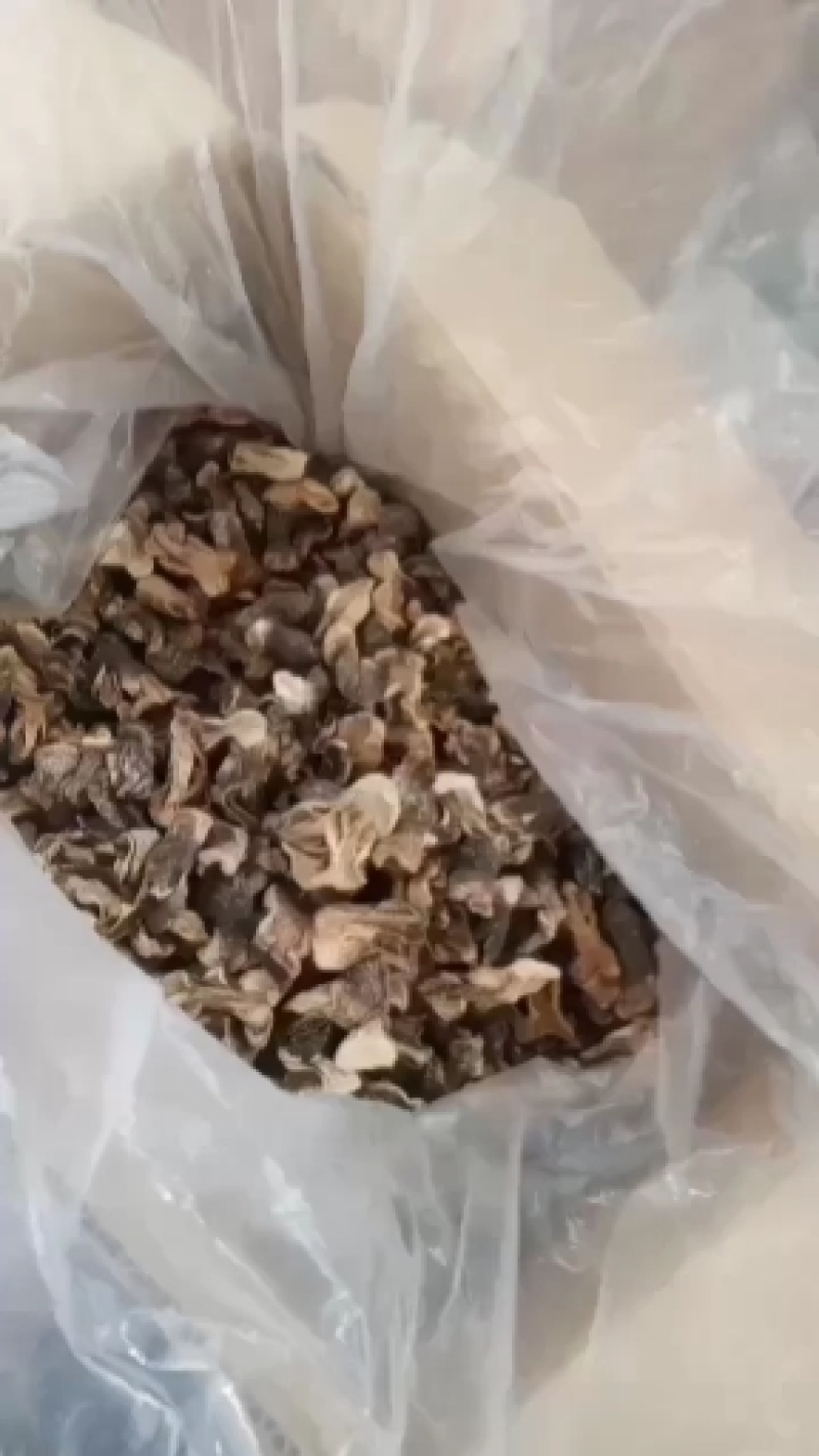 自种的干草菇，质优价廉，一手货源，没有中间商。