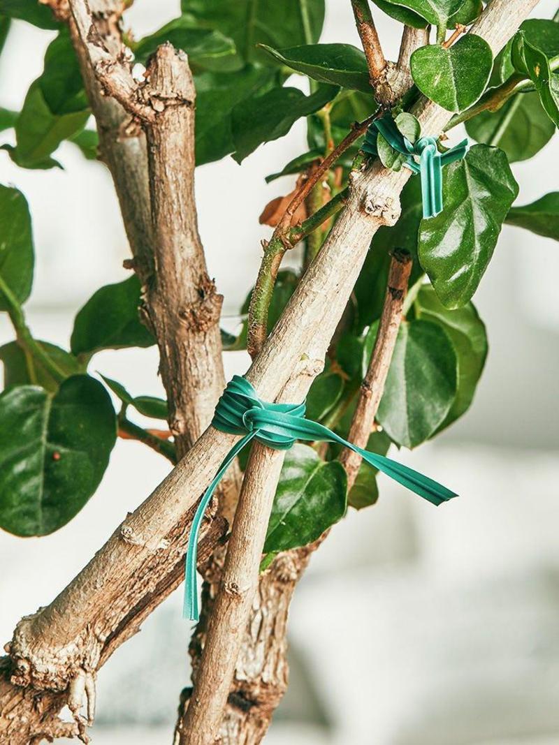 园艺扎带捆扎线包塑扎线铁丝月季爬藤植物葡萄固定绳绑花神器