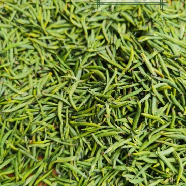 新茶上市啦！！2022年明前峨眉特级竹叶青