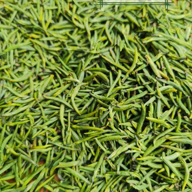 新茶上市啦！！2022年明前峨眉特级竹叶青