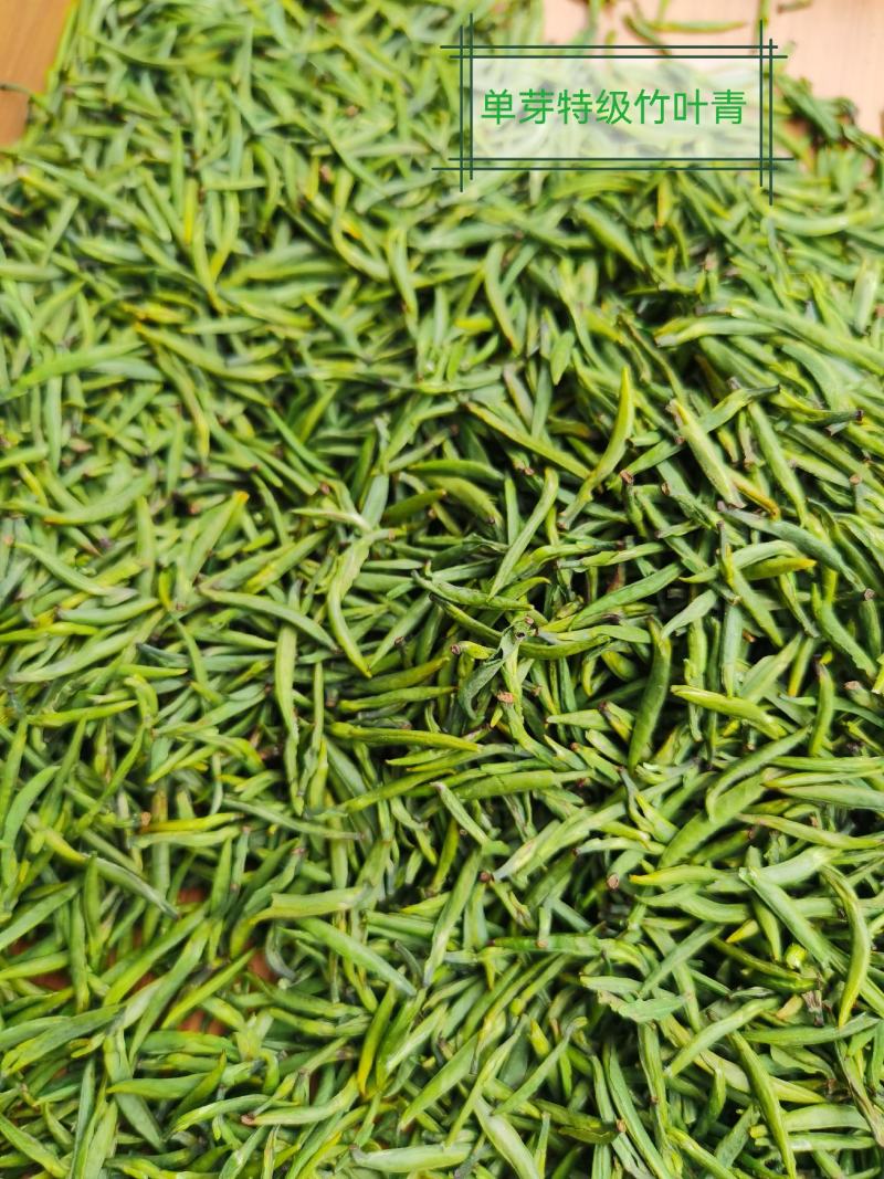 新茶上市啦！！2022年明前峨眉特级竹叶青