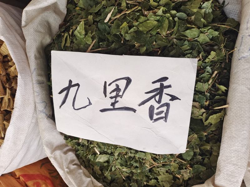 中药材九里香～新货青绿～