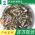 鲈鱼鲈鱼苗加州优质驯化鲈鱼加州淡水鲈鱼加州苗增长速度