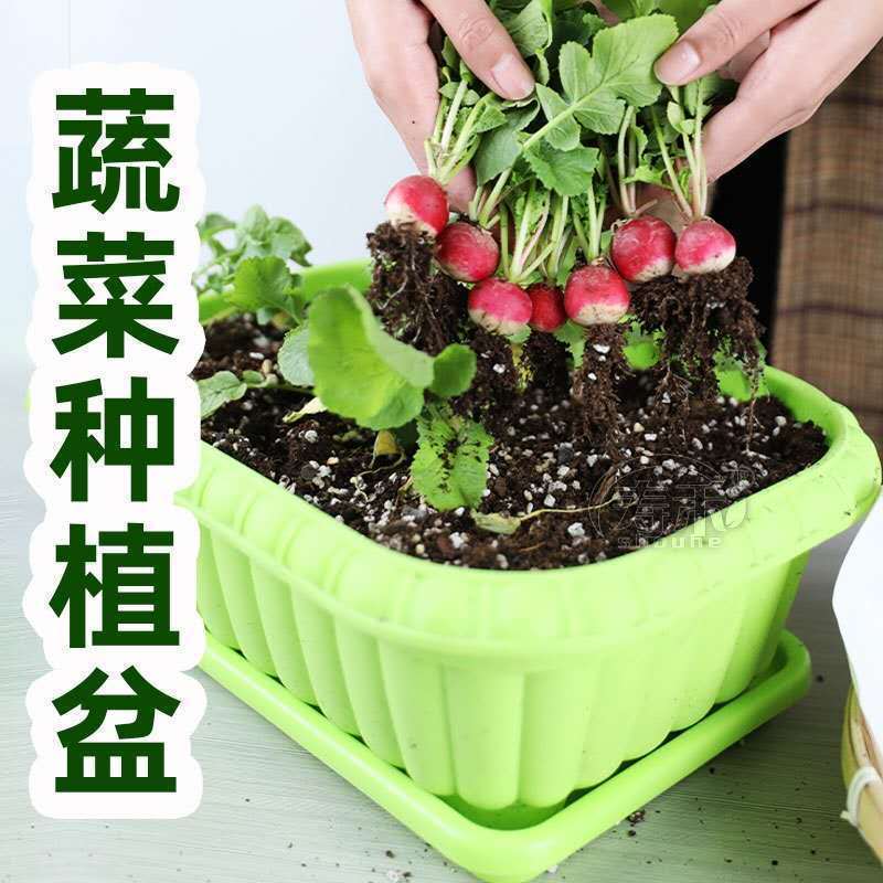 种菜盆花卉塑料阳台加厚大花盆带托盘长方形种菜盆种植箱特价