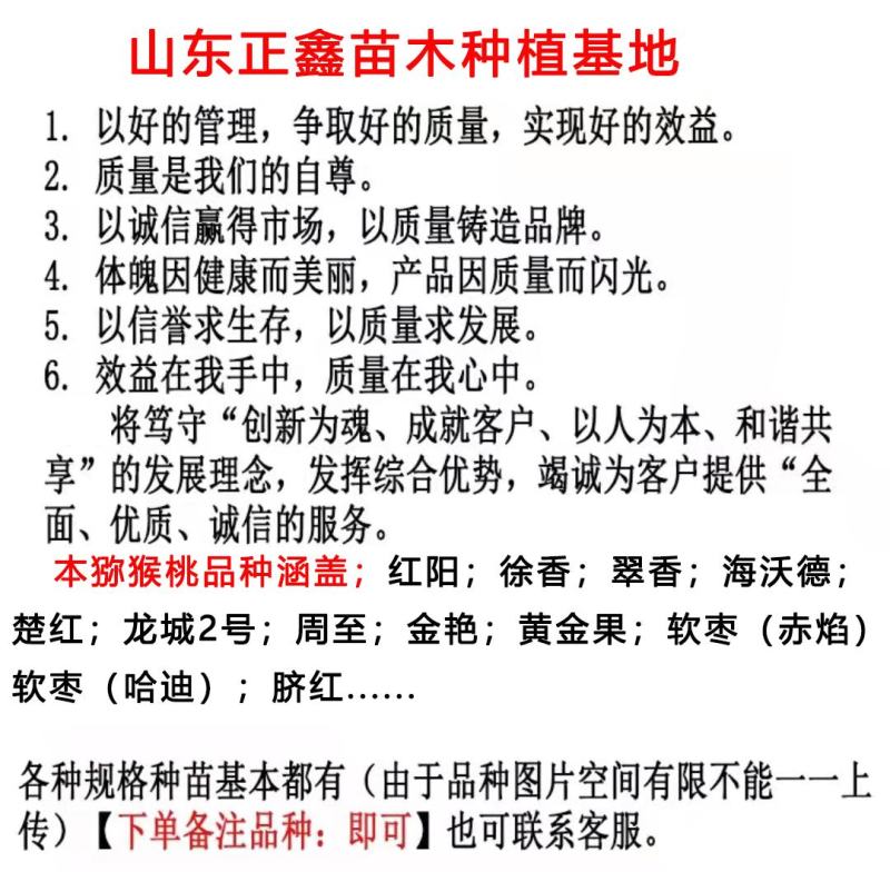猕猴桃苗嫁接早晚熟红心黄心绿心龙城2号软枣猕猴桃苗