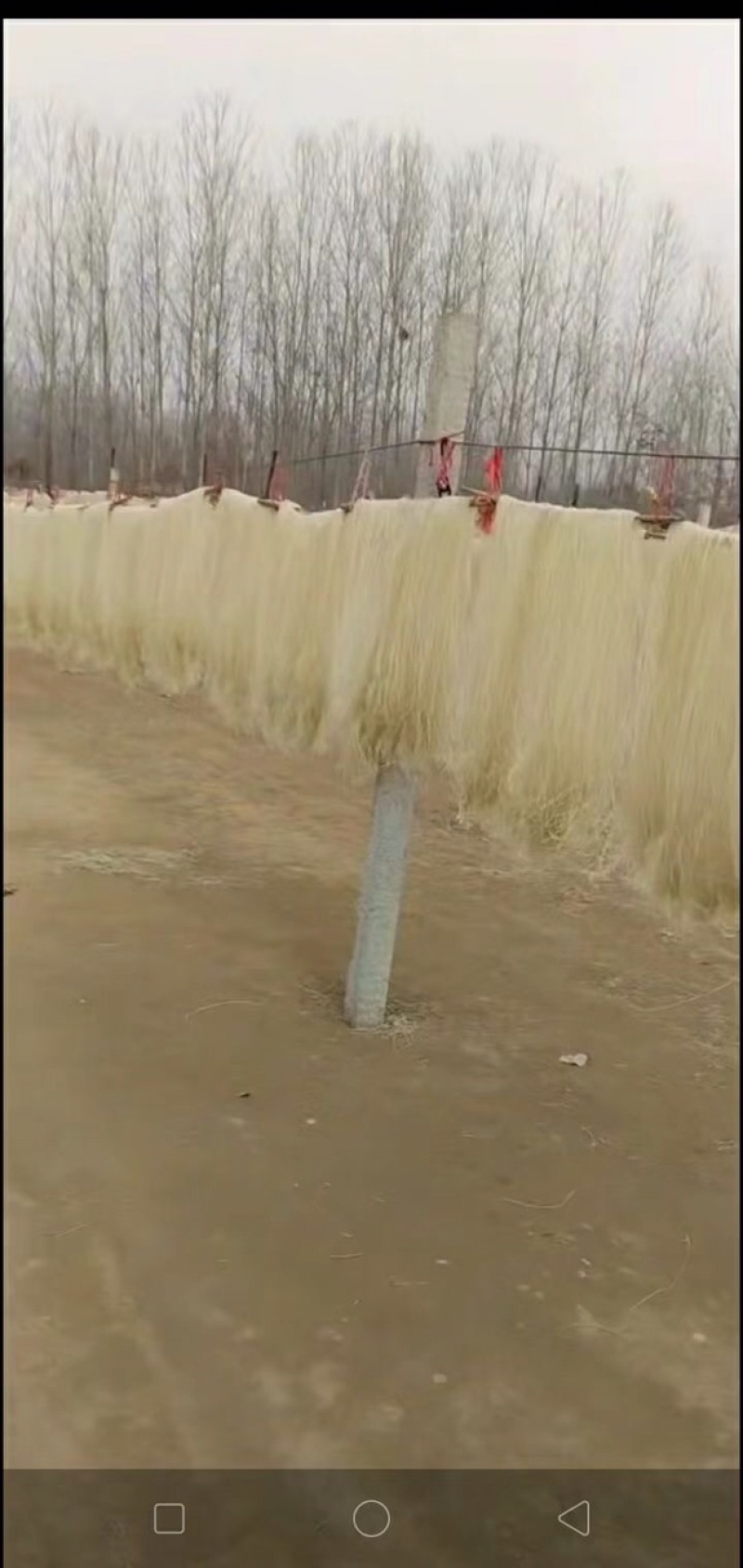 纯手工红薯粉条，粉面，量大从优，厂家直销。