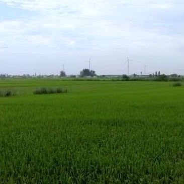 无人机植保飞防