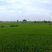 无人机植保飞防