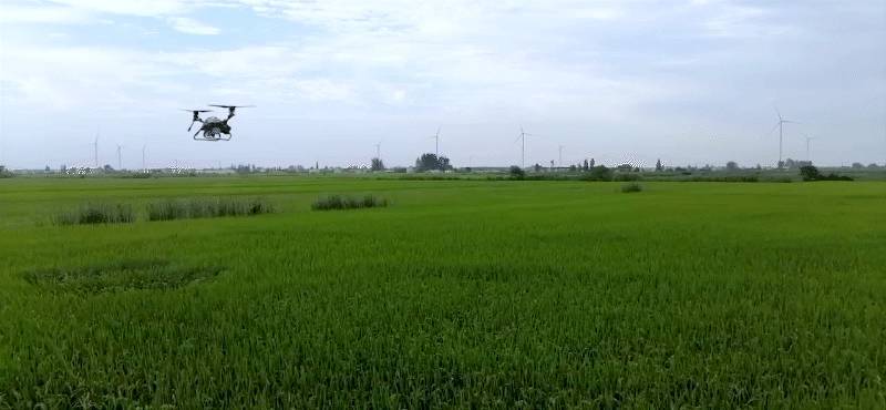 无人机植保飞防