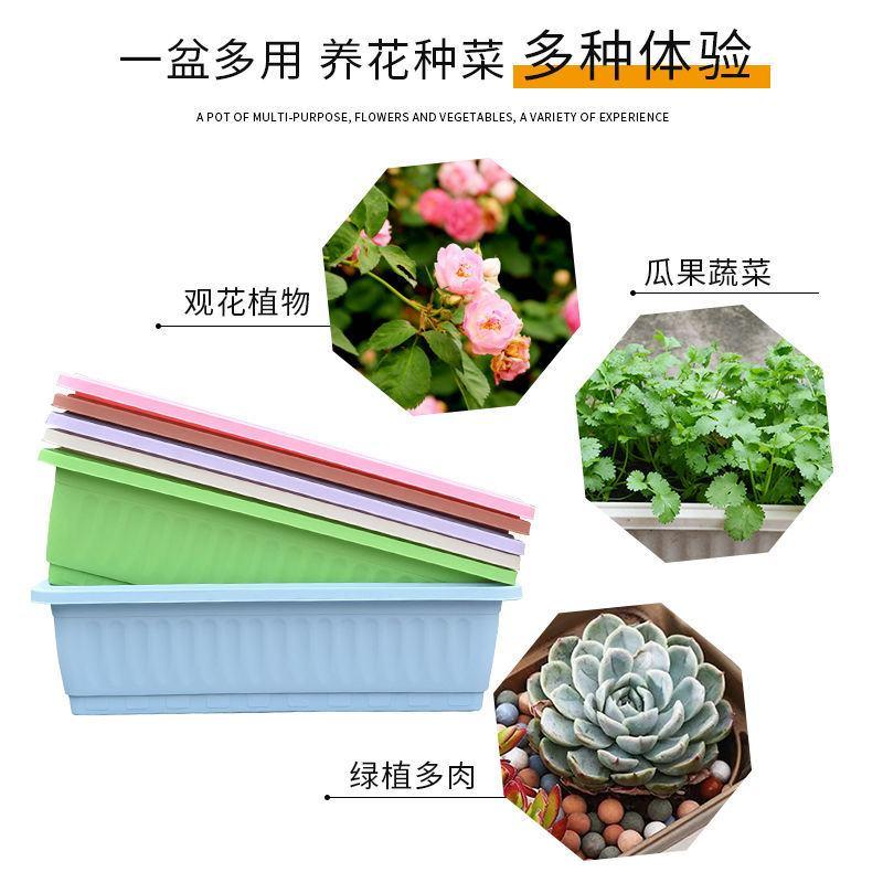 阳台种菜盆蔬菜种植箱家庭家用长方形花盆塑料花盆大号特价清