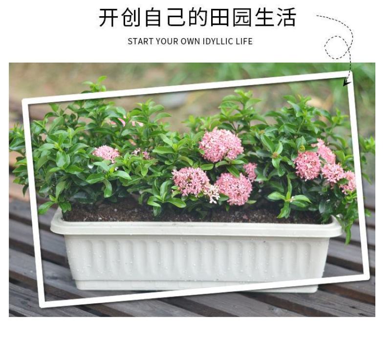 阳台种菜盆蔬菜种植箱家庭家用长方形花盆塑料花盆大号特价清
