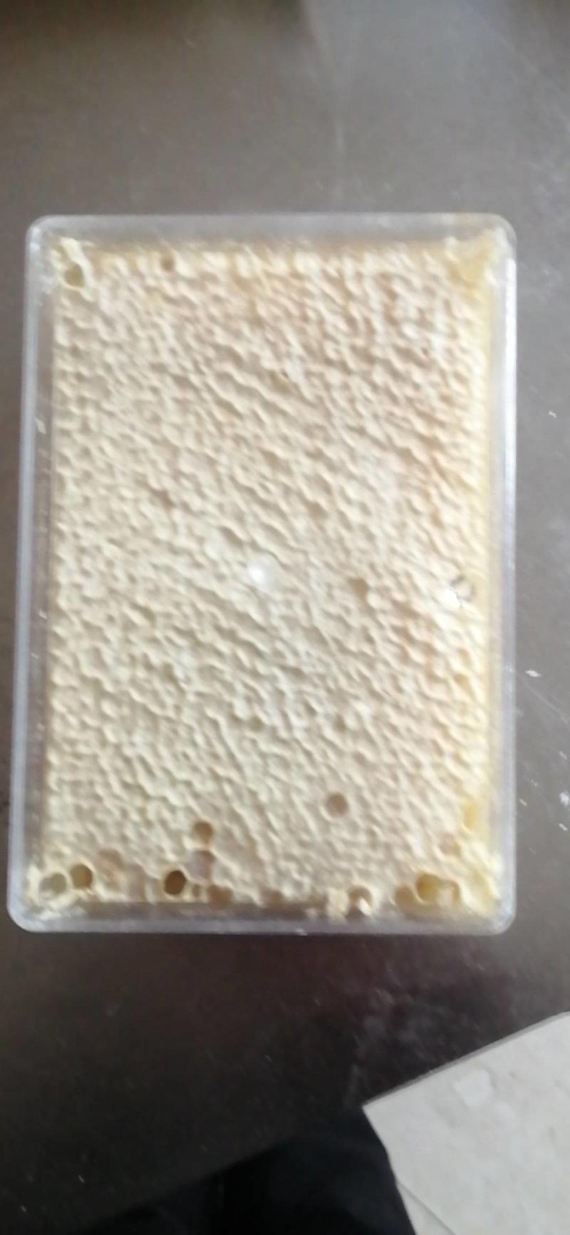 蜂巢蜜百花巢蜜重量足透明塑料盒，支持批发招代理