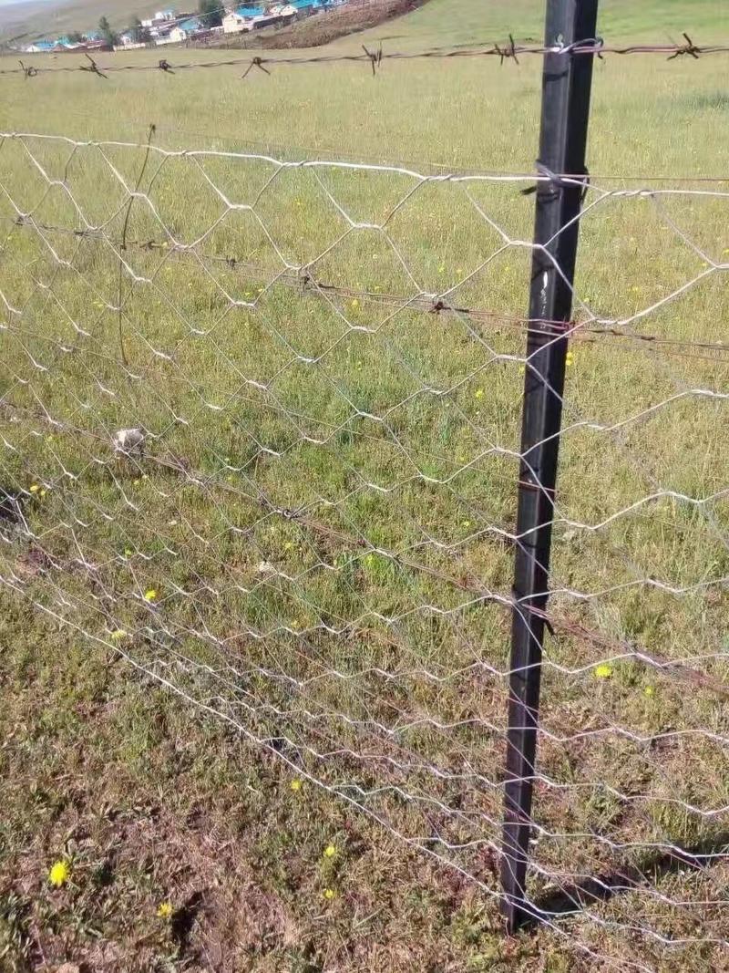 养殖围栏网防锈石笼网养鸡养羊铁丝网拧花网六角网