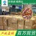 红鲤鱼苗鲲腾鱼苗好鱼苗鲲腾出产地直销百万现货